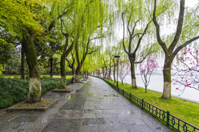 春雨的杭州西湖柳浪闻莺公园