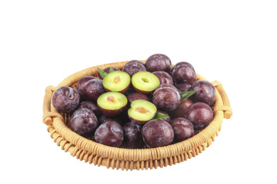 白底上的五月脆李子