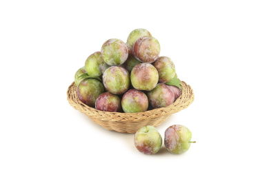 白底上的五月脆