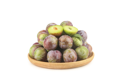 白底上的五月脆