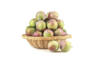 白底上的五月脆