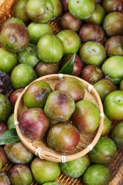 木底上的五月脆