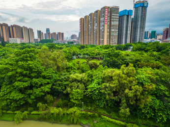 贵港马草江公园航拍