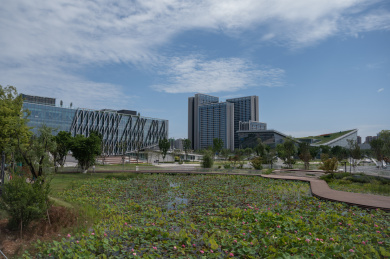 成都东安湖体育公园