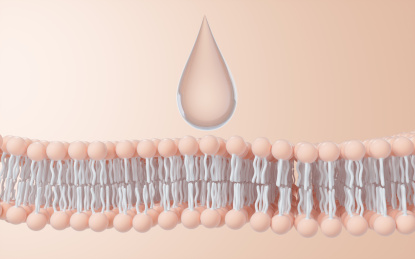 磷脂双分子层细胞膜3D渲染