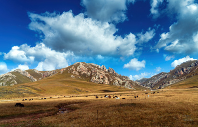 中国甘肃甘南风光