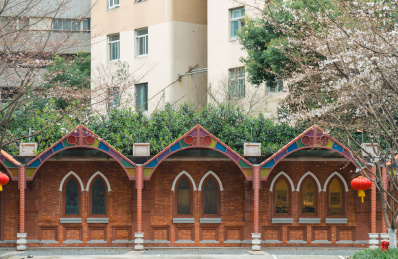 上海徐汇中学樱花绽放