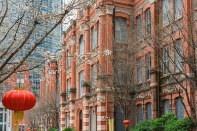 上海徐汇中学樱花绽放