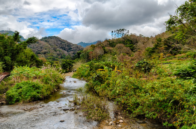 中国海南岛五指山的冬天