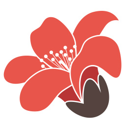 单朵木棉花