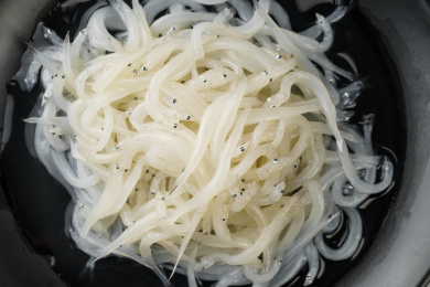 单色背景下的新鲜小银鱼