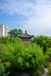 夏季河南许昌文庙春秋楼园林风光
