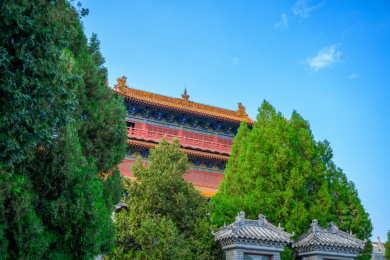航拍夏季河南许昌春秋楼景区古建筑