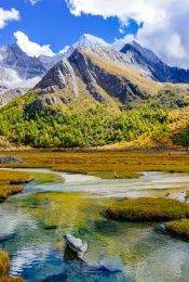 川西稻城亚丁洛绒牛场的秋景