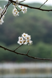 湖南省长沙市望月公园