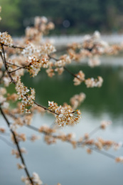 湖南省长沙市望月公园