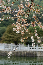 湖南省长沙市望月公园