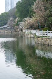 湖南省长沙市望月公园