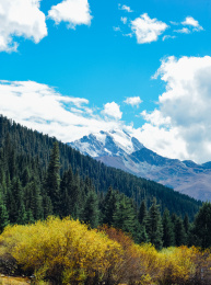 措普沟国家森林公园秋季美景