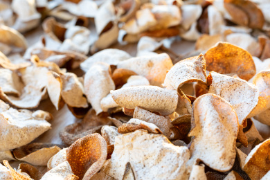 中国广东省江门市新会陈皮干晒过程