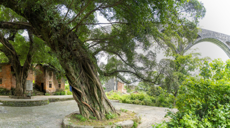贺州钟山鳖岭村古村落