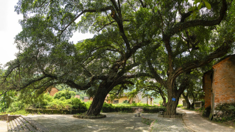 贺州钟山鳖岭村古村落