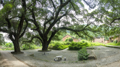 贺州钟山鳖岭村古村落