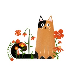 花儿与猫