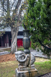 云南红河州建水文庙石象