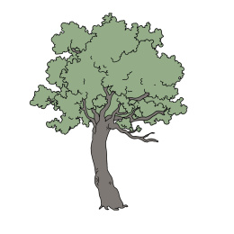 树插画素材