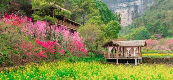 重庆酉阳桃花源仙境景色