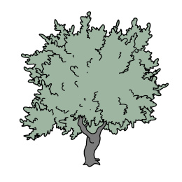 树插画素材