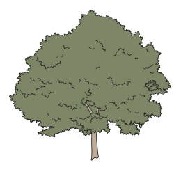 树插画素材