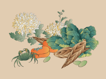 古风菊花螃蟹白菜柿子笋蔬果工笔矢量插画