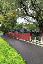 云南昆明世界园艺博览园山东齐鲁园