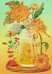 中国风菊花枸杞金银花茶中药草本花草茶插画