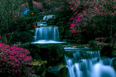 园林梅花小溪流多重瀑布慢门风光