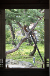 韩国首尔景福宫传统建筑