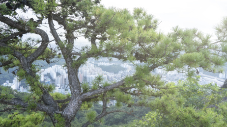 韩国首尔城市全景图