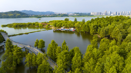 浙江省杭州市临安青山湖水上森林