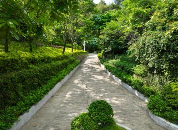 广东省深圳市福田区笔架山公园航拍