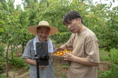 果农父子在网络直播销售