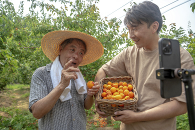果农父子在网络直播销售