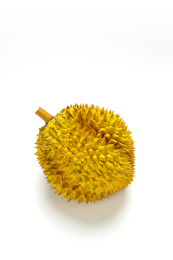 白色背景榴莲特写