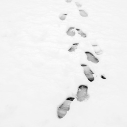雪地上的脚印