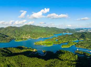 广东珠海乡村振兴绿水青山森林生态航拍