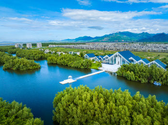 广东江门滨海新区银湖湾红树林滩涂湿地保护