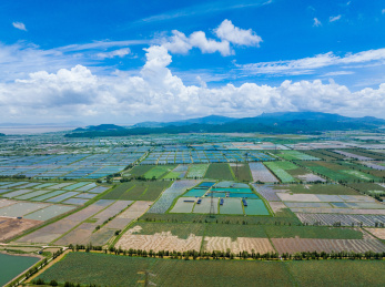 江门台山农业公园千亩渔业鱼塘航拍