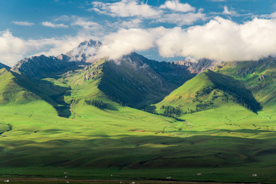 中国新疆伊犁那拉提草原