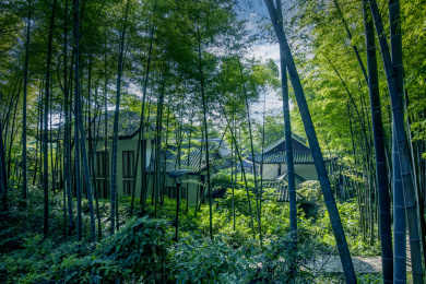 茶山竹海风景区”十面埋伏”拍摄地山庄